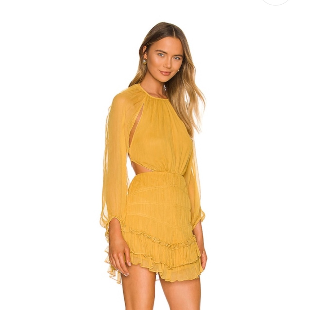 Shona Joy Iris Mini dress NWT
